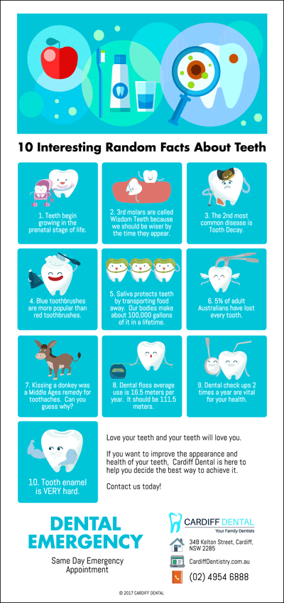 10 Interesting Factoids About Your Teeth